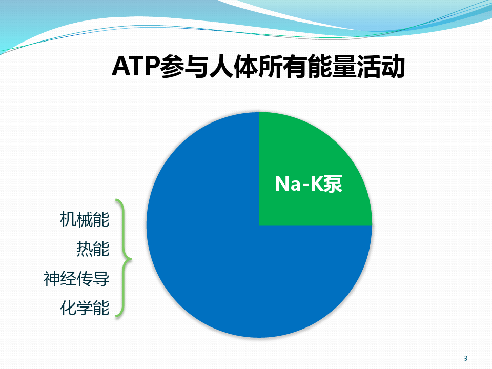 ATP-MgCl2产品介绍PPT优秀课件