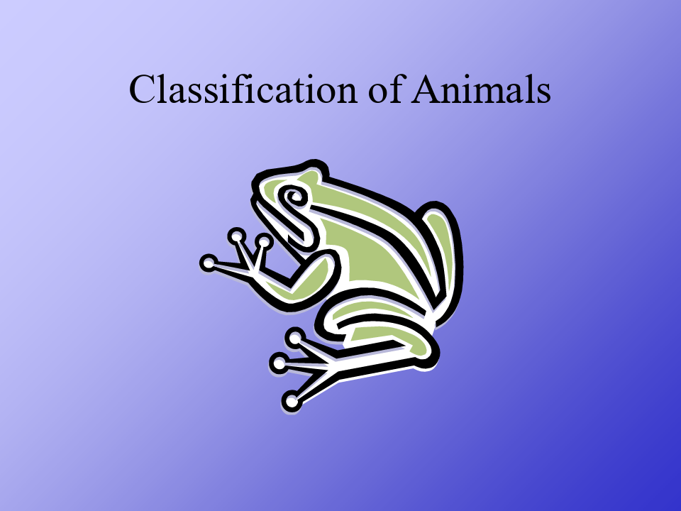 动物分类英文版.ppt