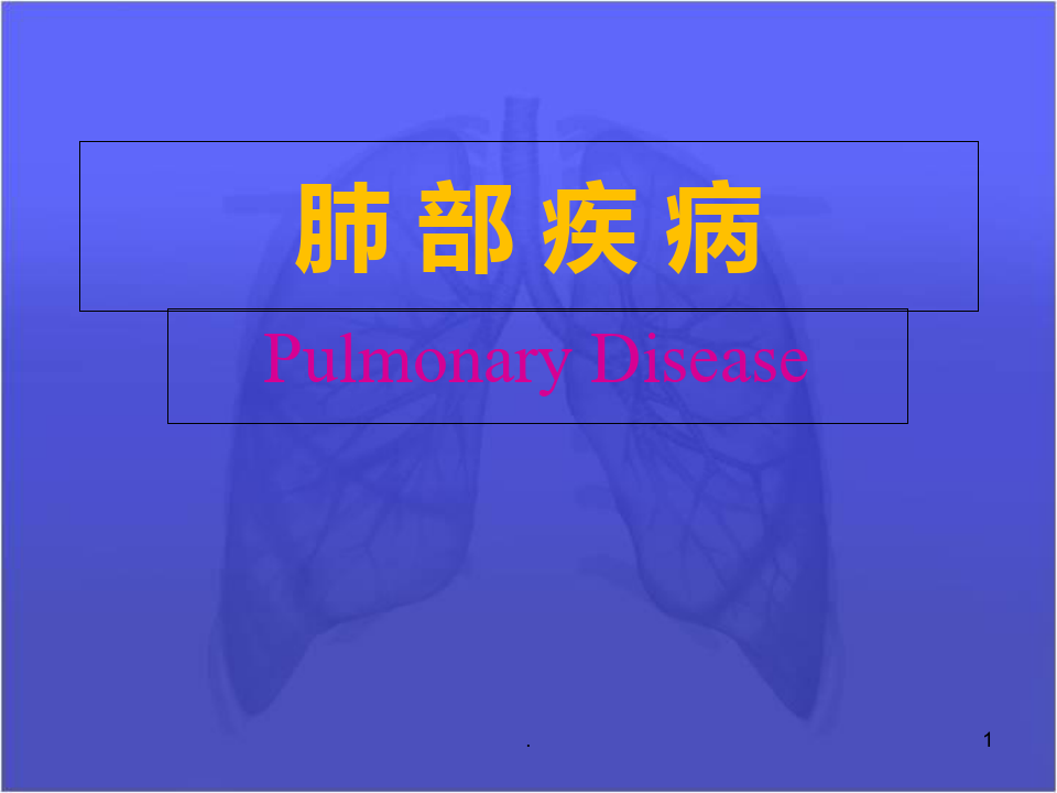 《肺部疾病》PPT课件