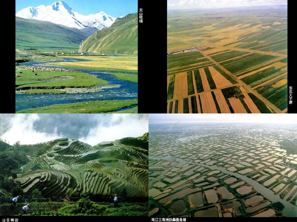 区域地理中国的农业