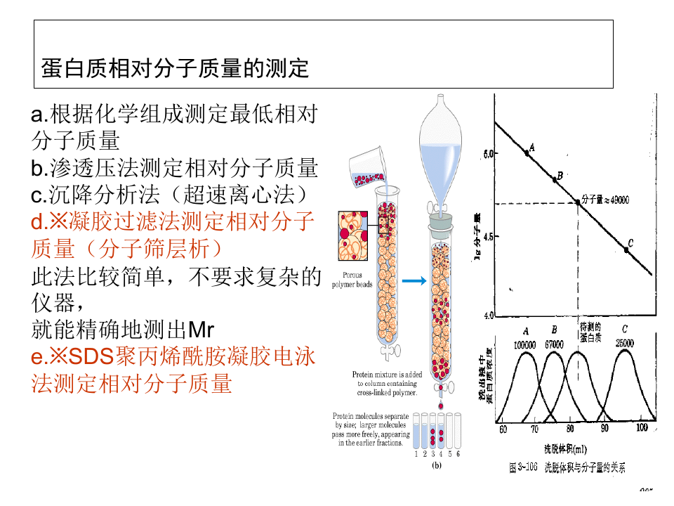 实验六三过氧化氢酶活性的测定_PPT幻灯片