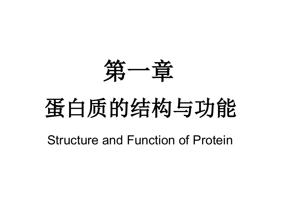 蛋白质的结构与功能解读