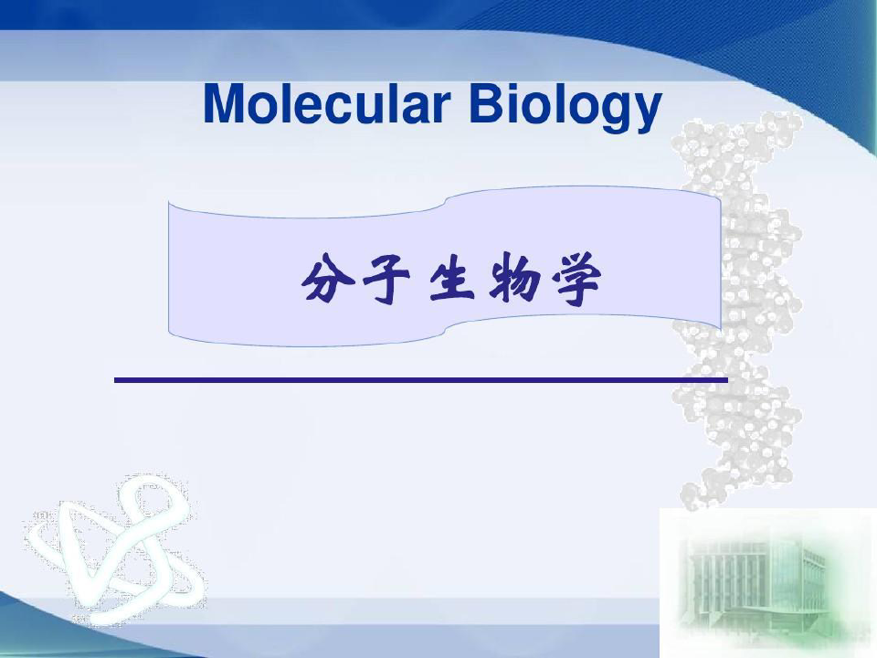 高中生物奥赛-分子生物学127页PPT