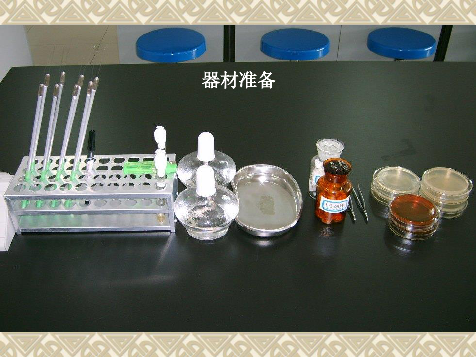 医学微生物学 实验 脓汁和粪便标本中病原菌的检测6 (2)PPT课件