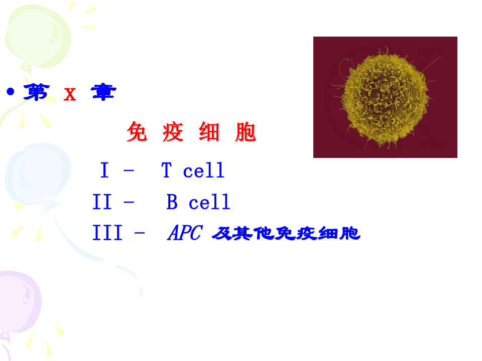 免疫细胞PPT课件