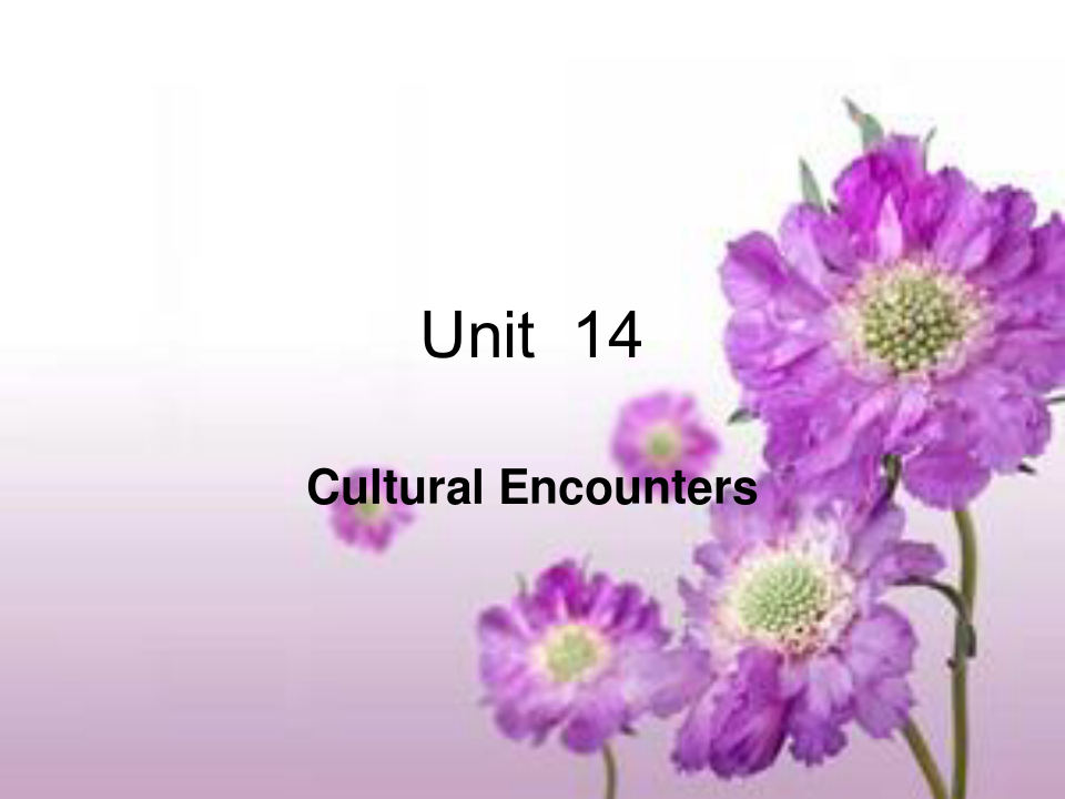 Cultural Encounters 大学英语精读 教学课件
