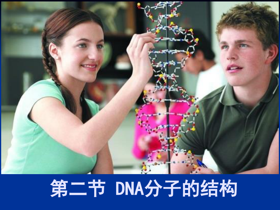 DNA分子的结构.ppt