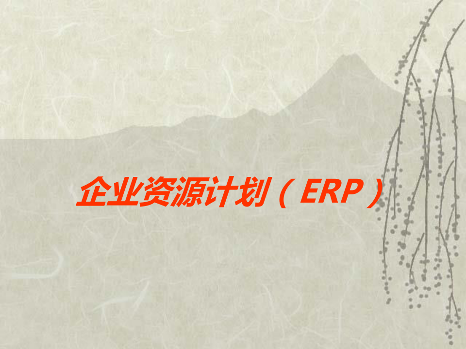 企业资源计划(ERP)PPT课件讲义