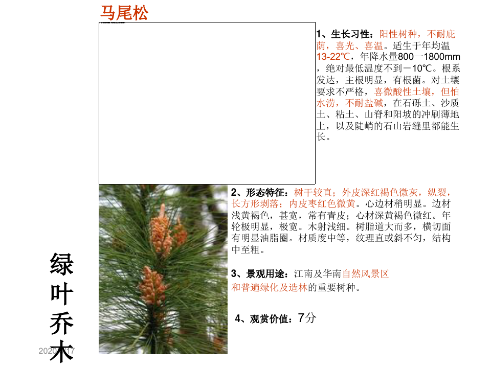 中国南方常用园林植物20种简介