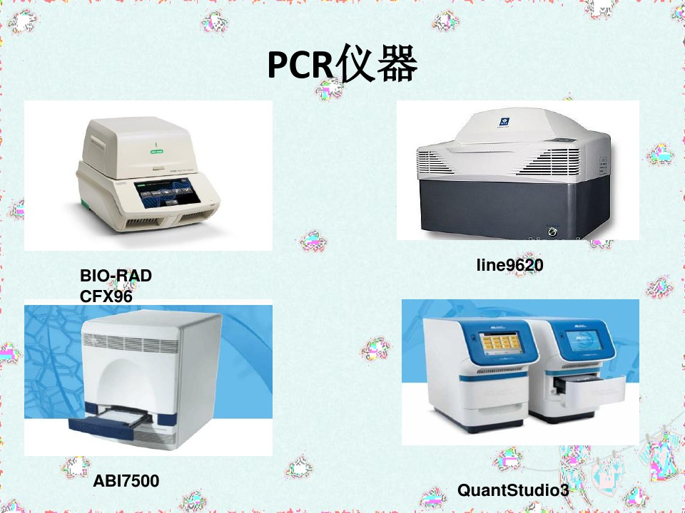 PCR仪器的使用及注意事项教程文件