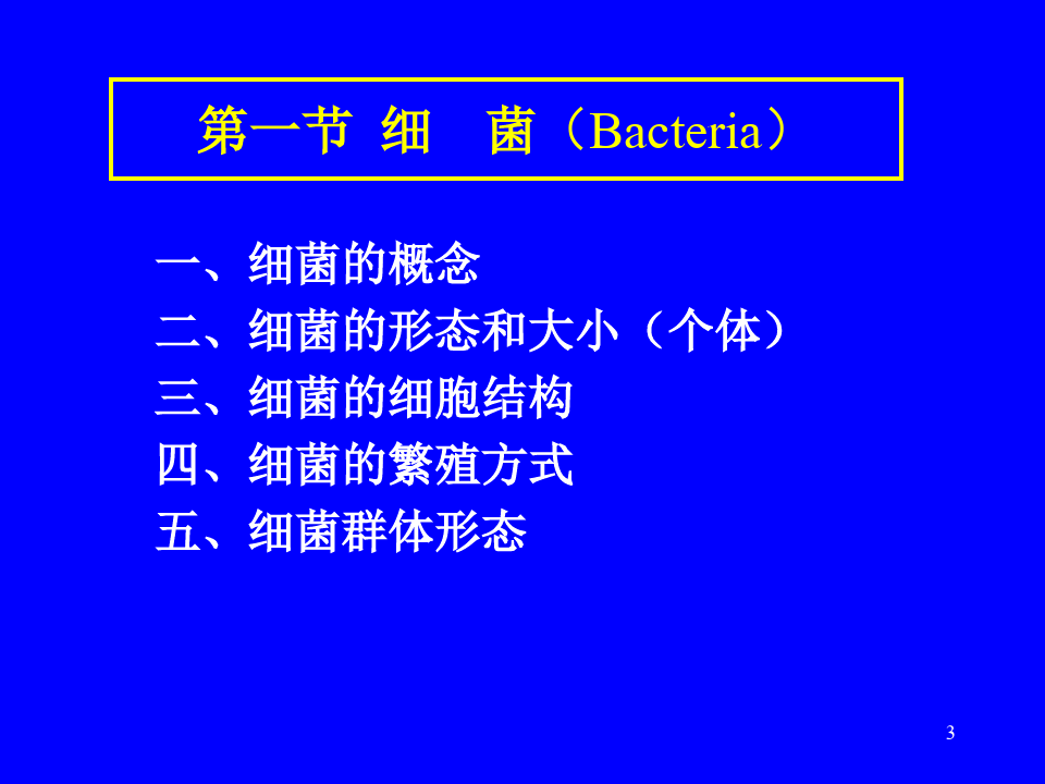 C 第二章  原核微生物 微生物课件