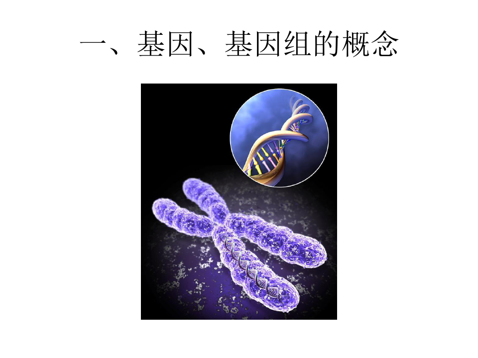 生物信息学 基因组学和基因预测 PPT