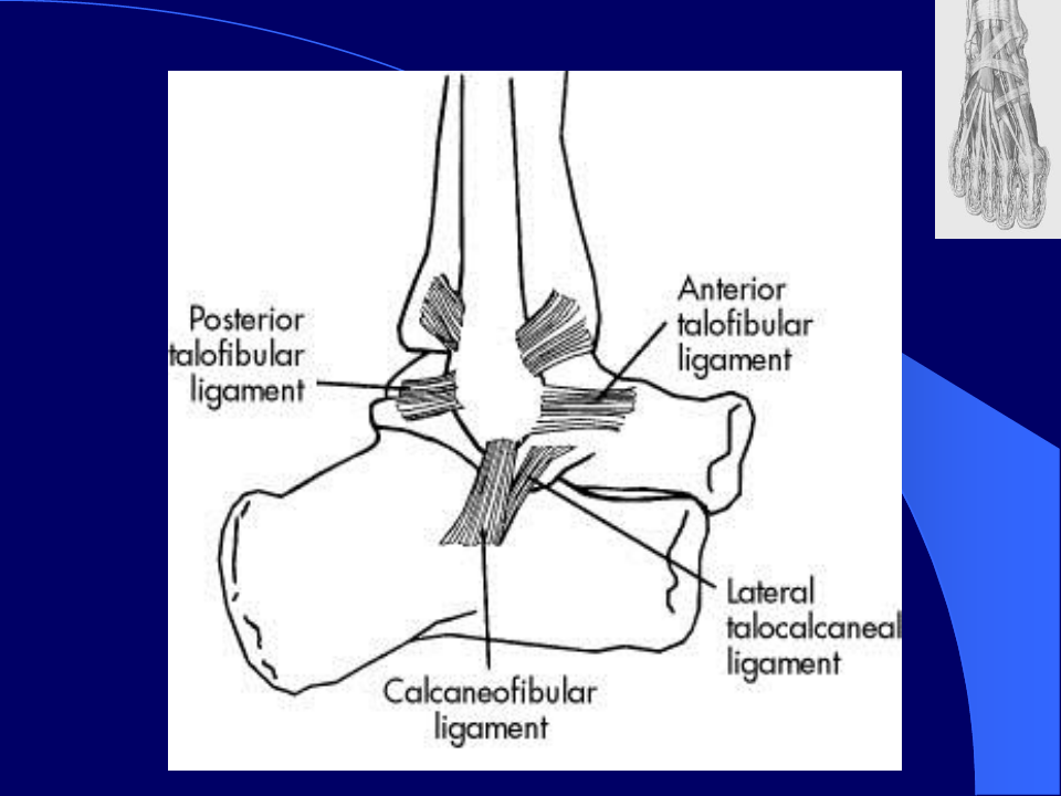 踝关节外侧韧带损伤 (2)优秀课件