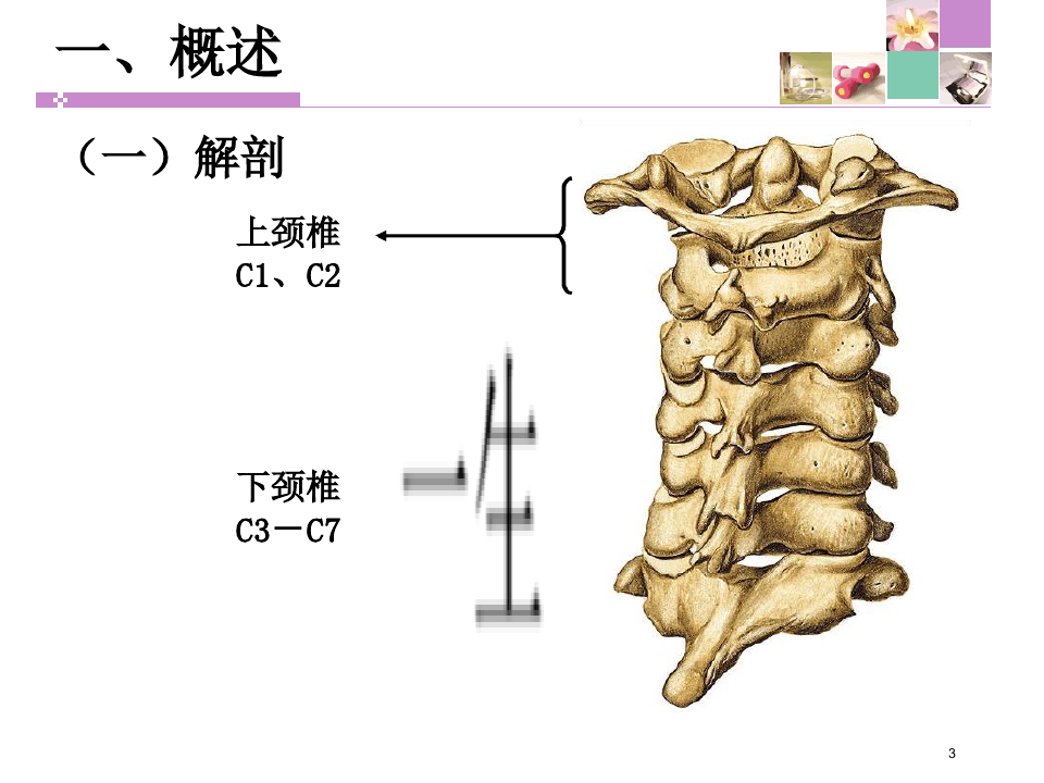颈脊髓损伤患者的护理ppt课件