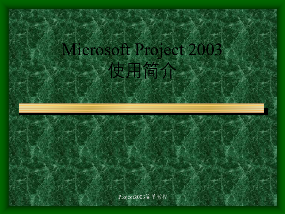 Project2003简单教程