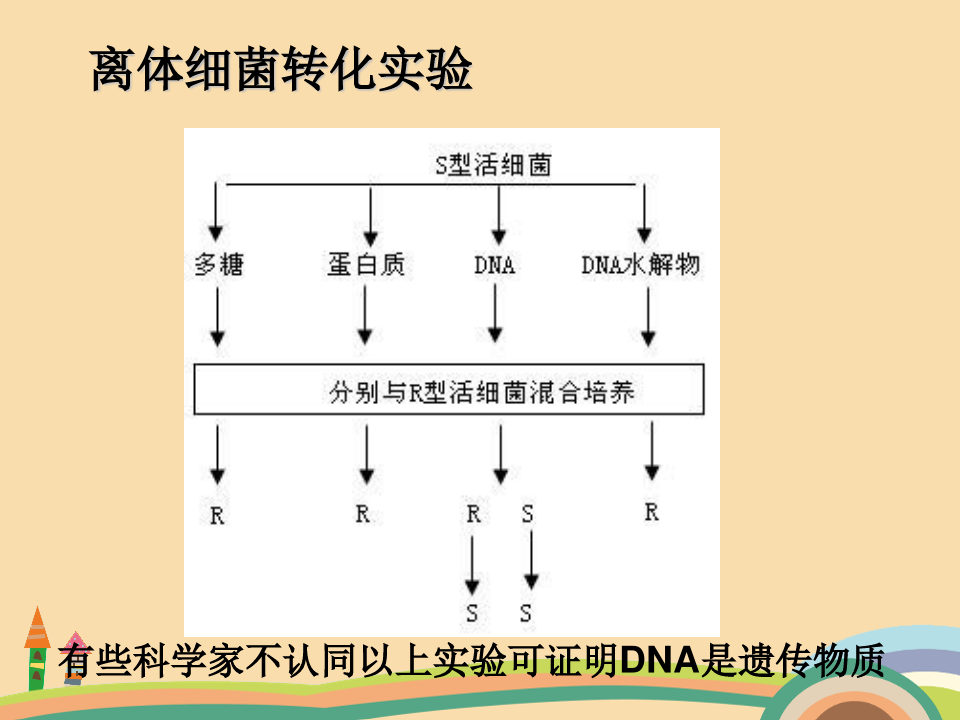 高二生物核酸是遗传物质的证据PPT精品课件