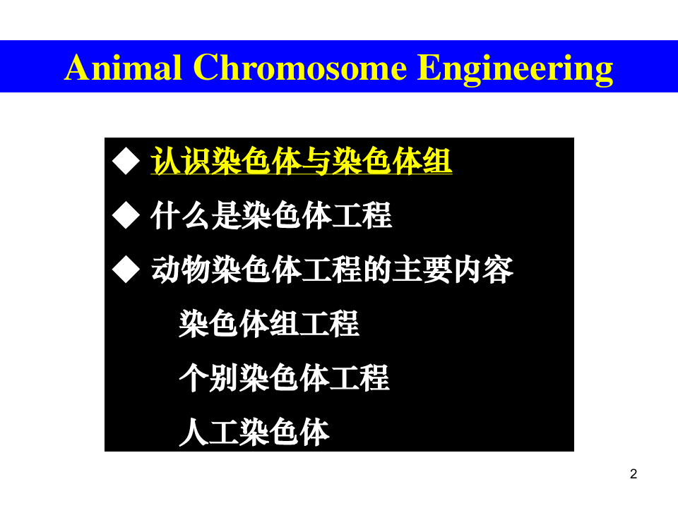 动物染色体工程细胞工程
