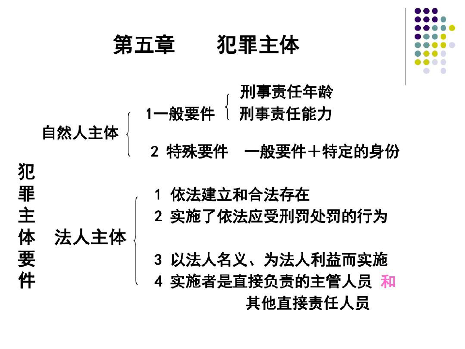 中国政法大学 刑法总论教案共33页