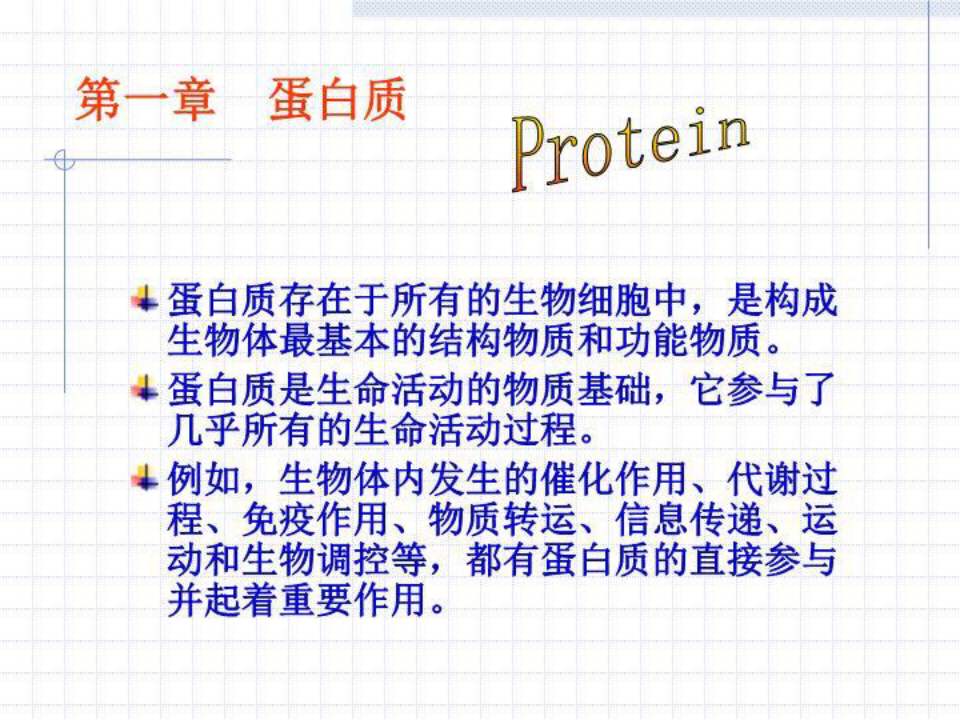 生物化学-蛋白质 PPT课件
