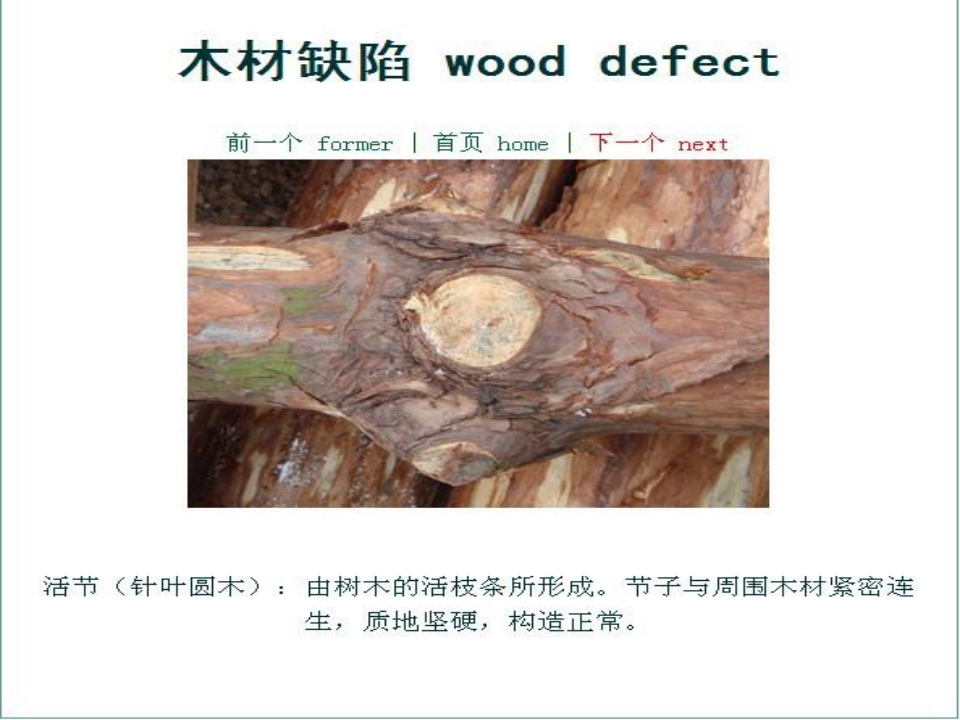木材缺陷汇编