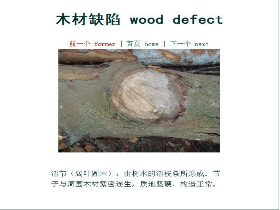 木材缺陷汇编