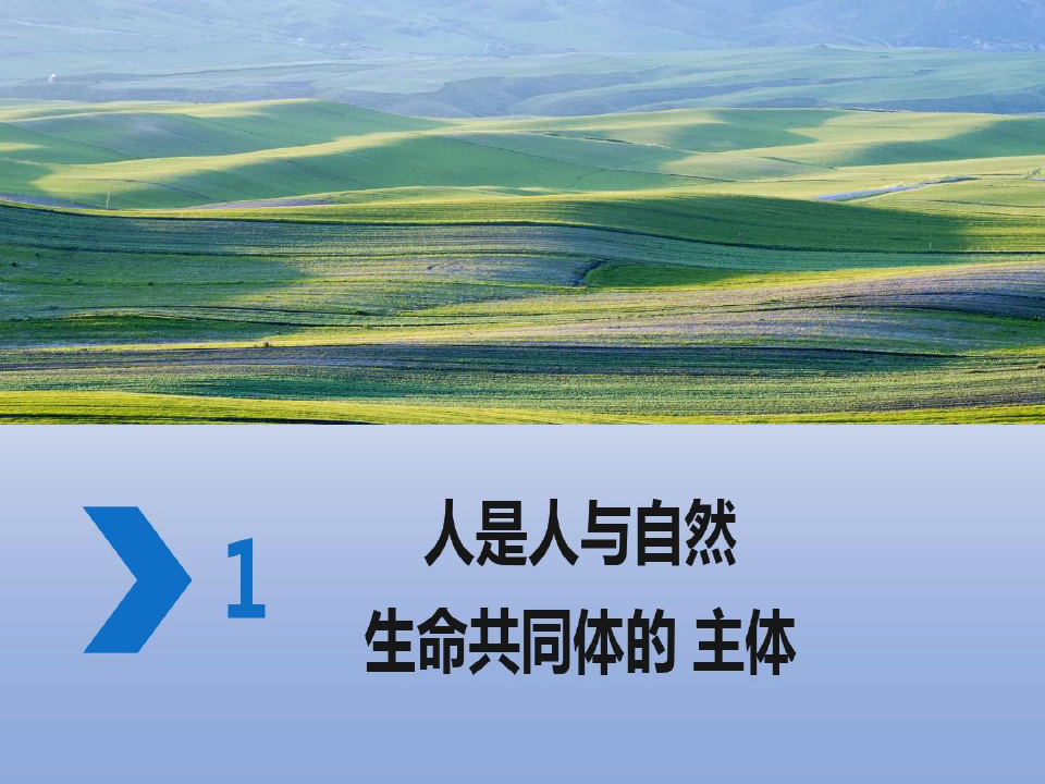 加强生态的环境保护建设美丽中国27页PPT