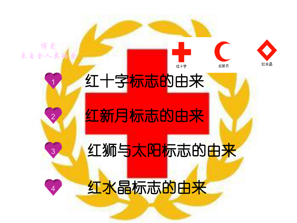红十字会起源 ppt课件