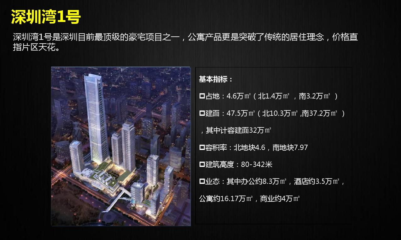 深圳豪宅公寓项目案例研究