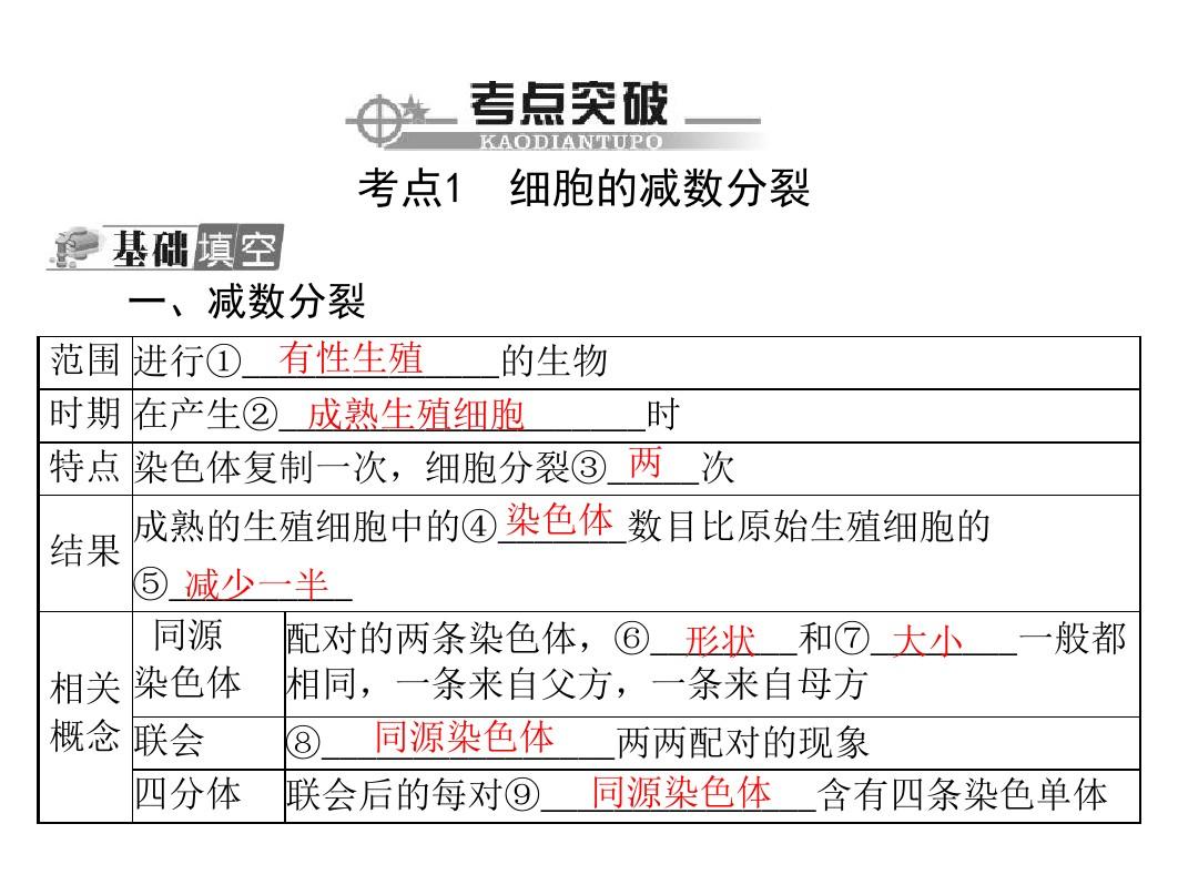 2013年广东省生物学业水平测试复习课件： 专题六 遗传的细胞基础
