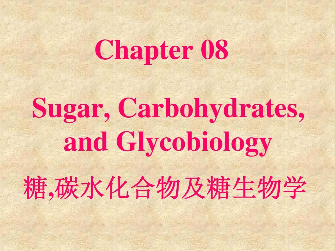 生物化学精品课件chapter08