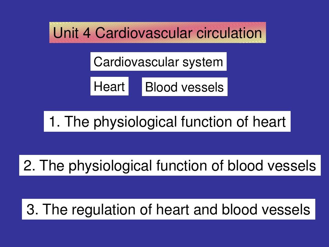 cardiovascular circulation