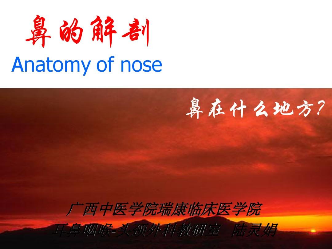 鼻部解剖1