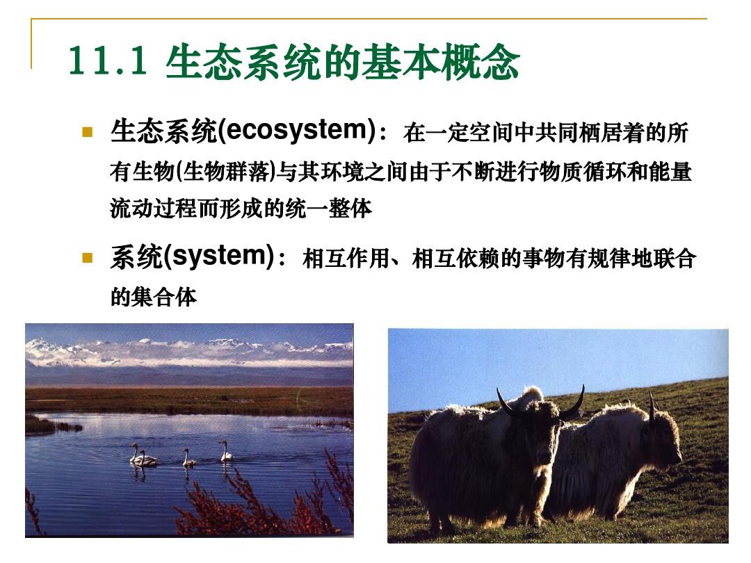 基础生态学——第十一章  生态系统的一般特征