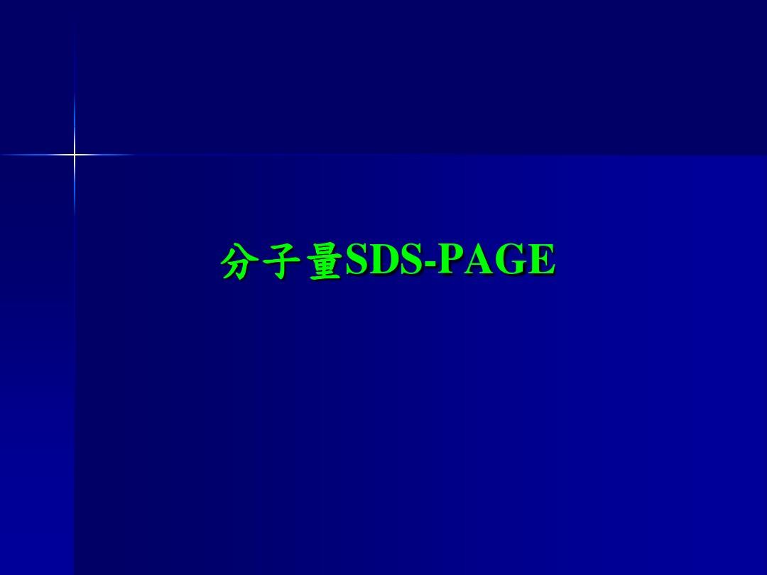 蛋白质4-分子量SDS-PAGE.