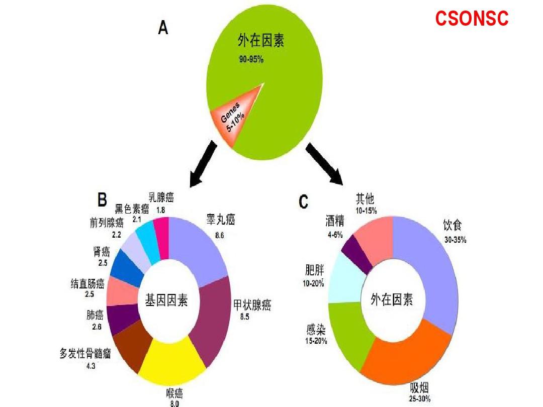 20140420 肿瘤患者家庭营养与康复指导(深圳市)
