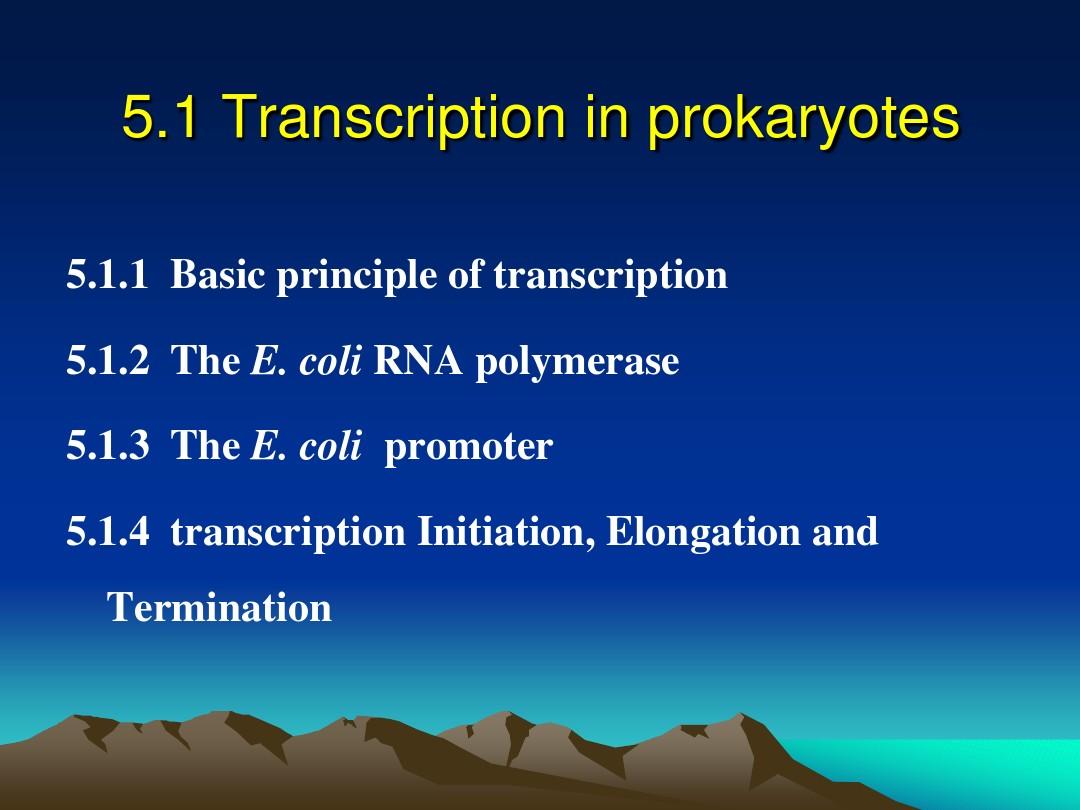 5.1 Transcription in prokaryotes
