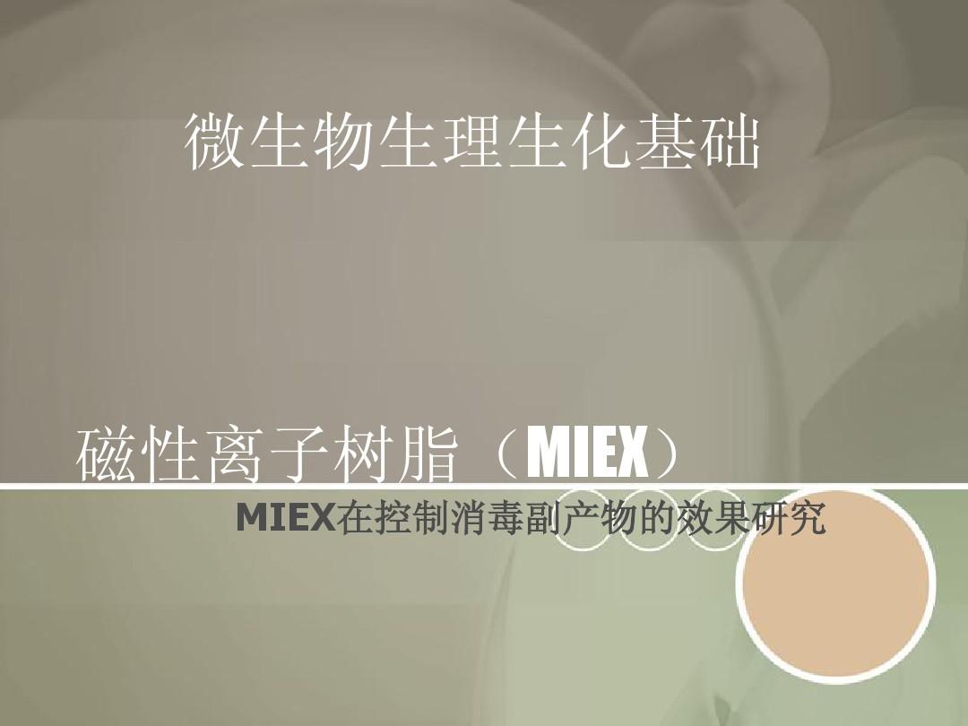 磁性离子树脂(MIEX)