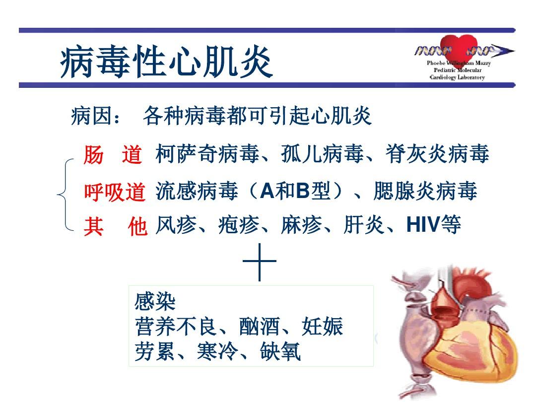 2019成人暴发性心肌炎诊断和治疗中国专家共识