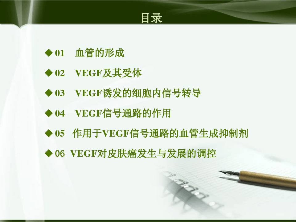 VEGF(血管内皮生长因子)