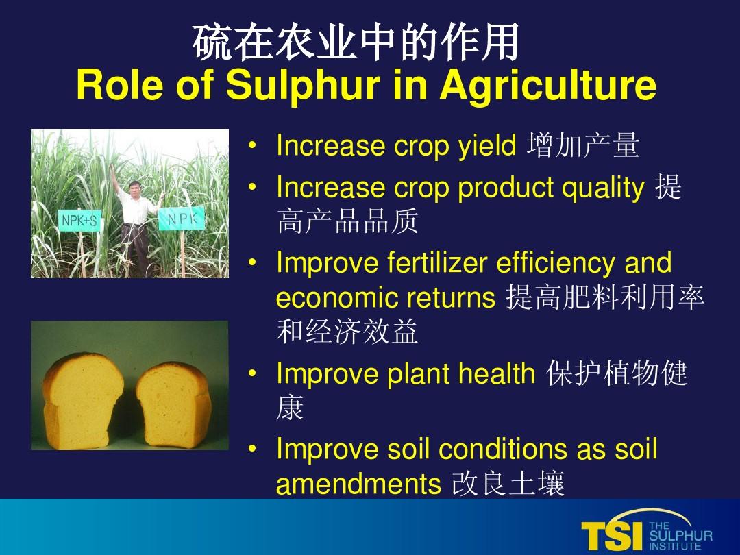 硫在中国农业中的作用