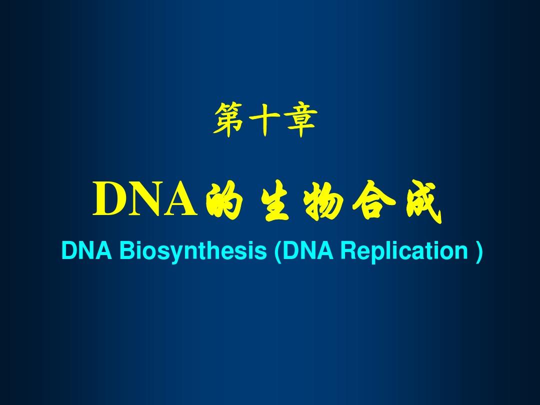 第10章 DNA的生物合成