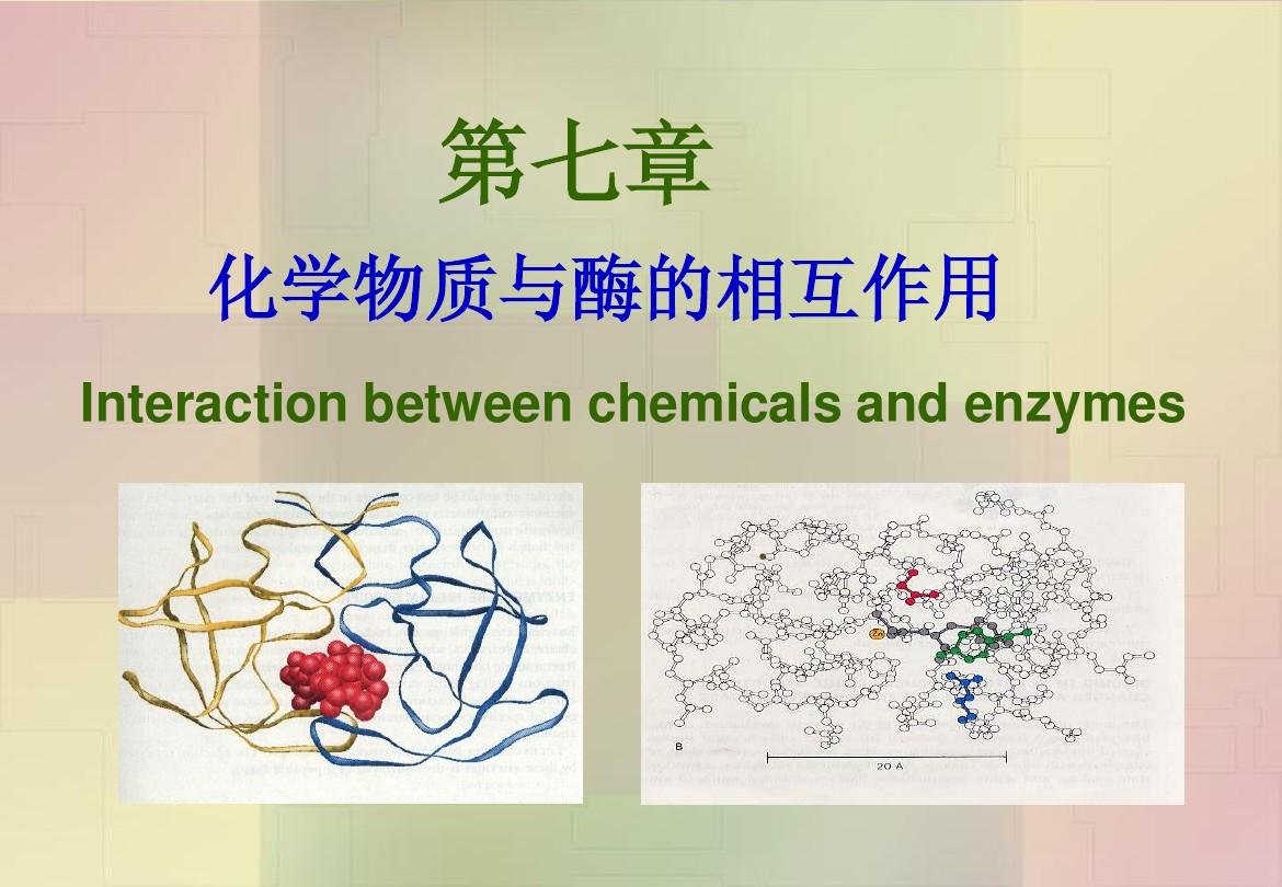 第七章 化学物质与酶的相互作用