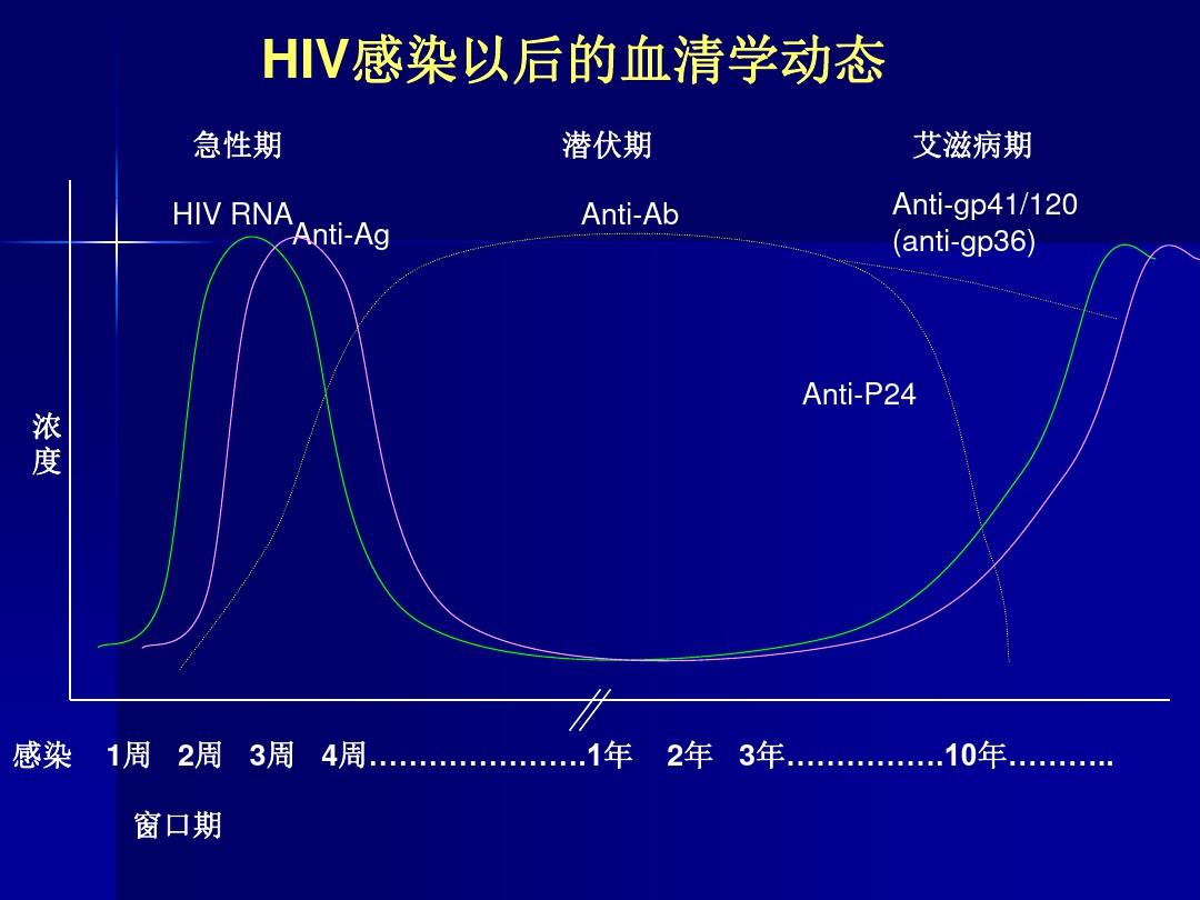 HIV检测技术课件.ppt