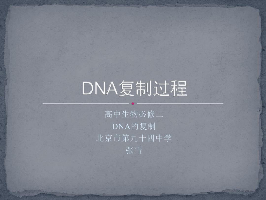 DNA复制过程共24页
