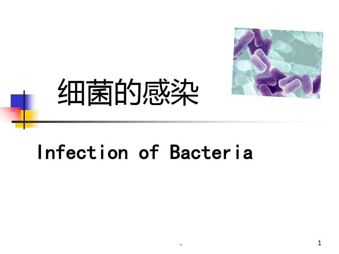 细菌的感染ppt课件