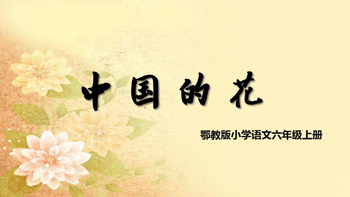 鄂教版小学语文六年级上册 中国的花