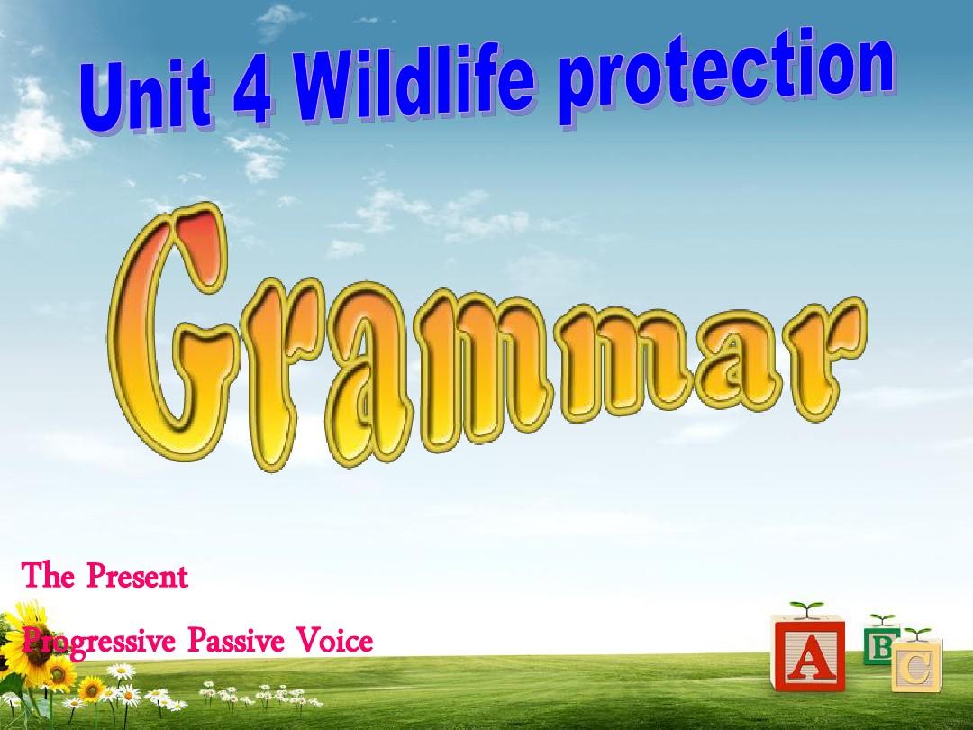 新人教版高中英语必修二必修二Unit_4_Wildlife_protection__Grammar精品ppt课件