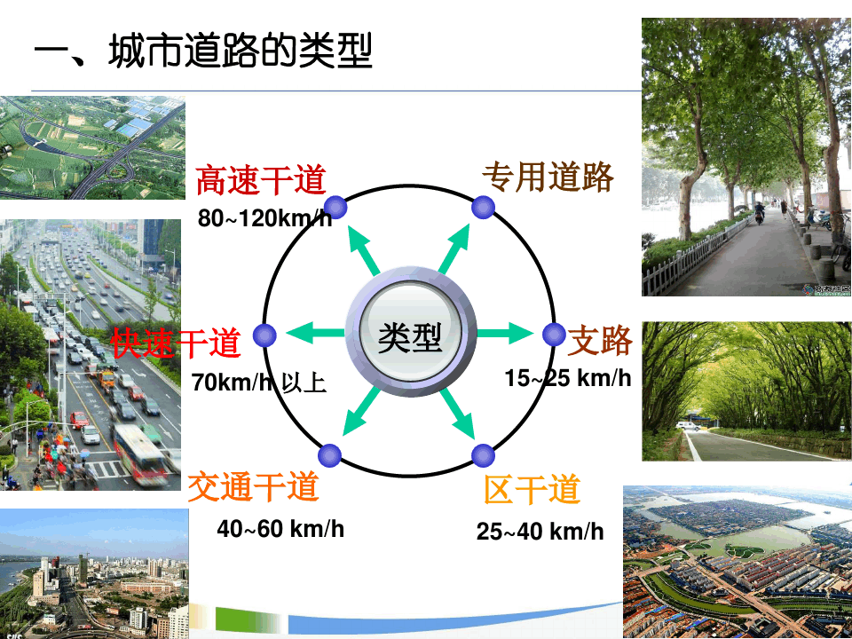 第三章 城市道路绿化设计