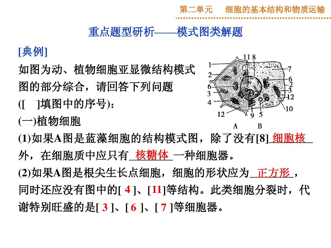 2015届高三生物(广东专用)一轮复习课件：第2单元 优化总结(人教版)