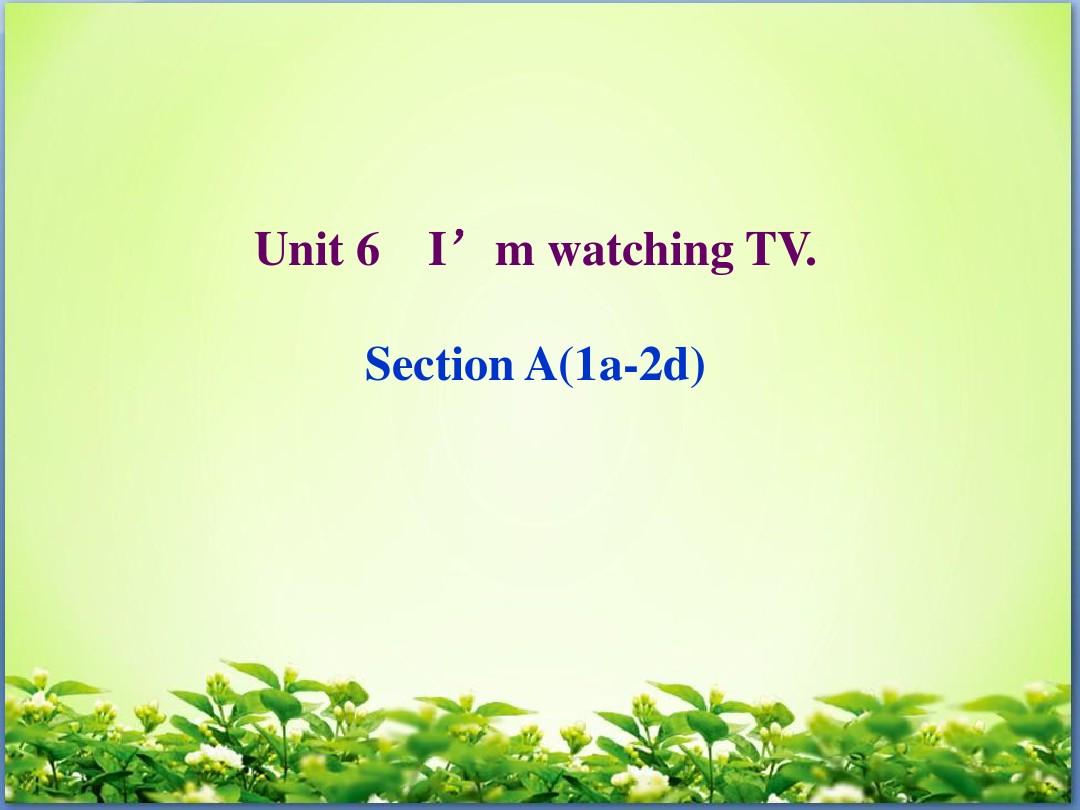 人教版新目标七下： Unit 6 I’m watching TV Section A(1a-2d)课件